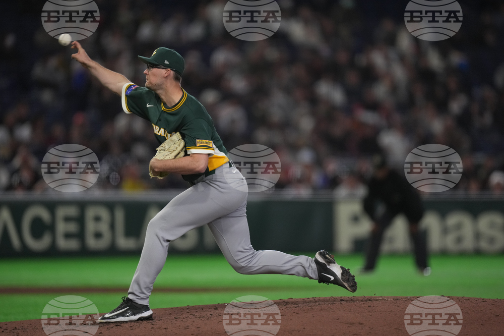 WBC Australia Czech Republic Baseball