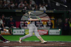 WBC Australia Czech Republic Baseball