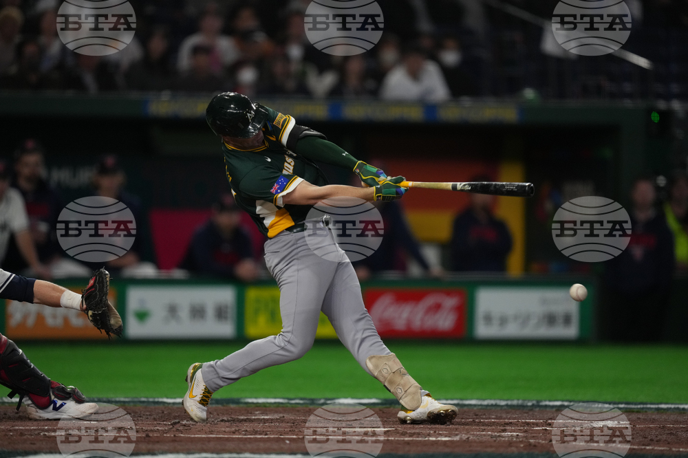 WBC Australia Czech Republic Baseball