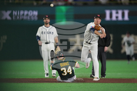 WBC Australia Czech Republic Baseball