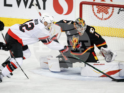 Senators Flames Hockey