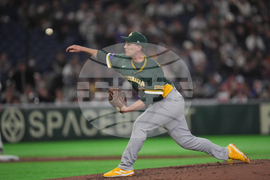 WBC Australia Czech Republic Baseball
