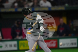 WBC Australia Czech Republic Baseball