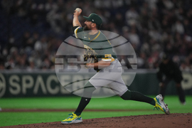 WBC Australia Czech Republic Baseball