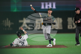 WBC Australia Czech Republic Baseball