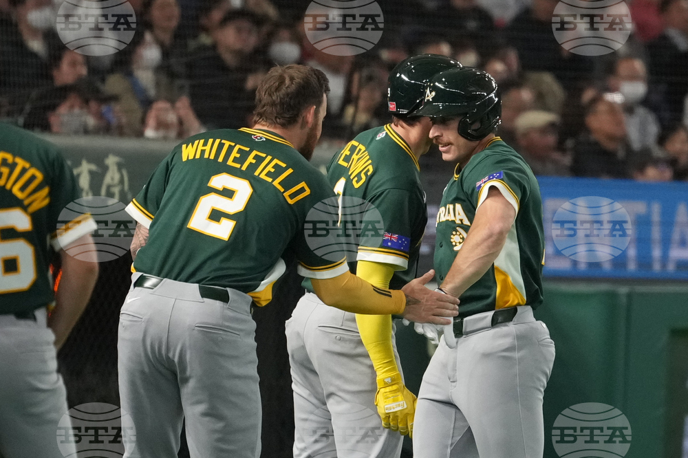 WBC Australia Czech Republic Baseball