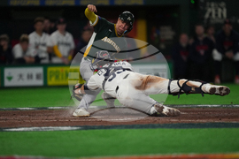 WBC Australia Czech Republic Baseball