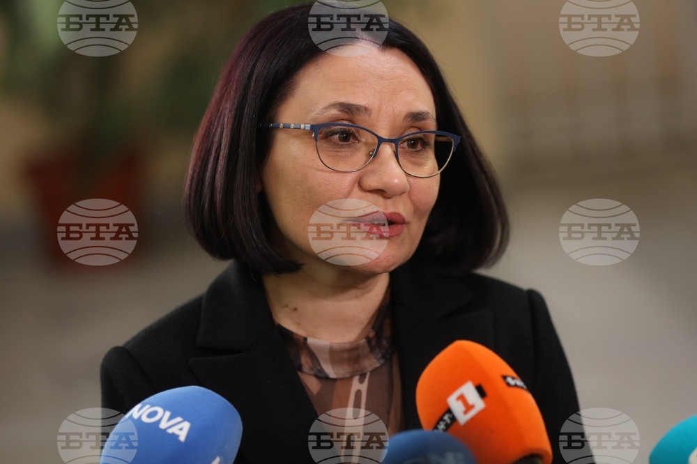 Ваня Стефанова - брифинг