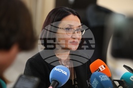 Ваня Стефанова - брифинг