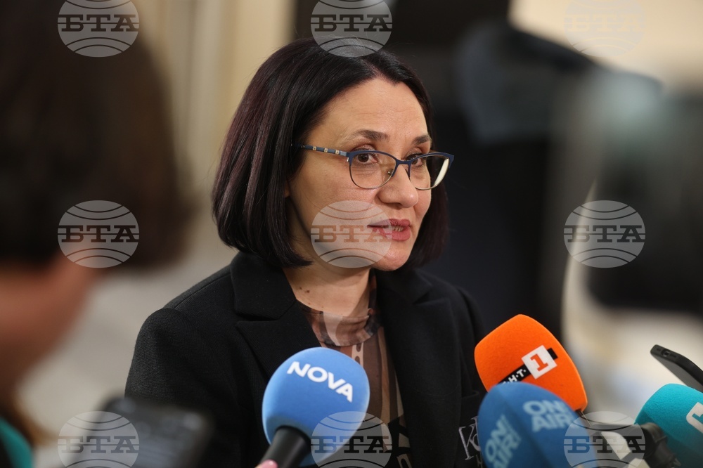 Ваня Стефанова - брифинг