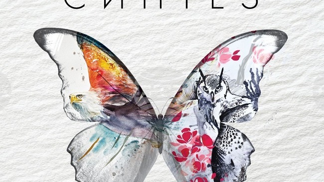 Художничката Алая Цанова представя графика, живопис и произведения в смесена техника с животинска тематика в изложбата „Синтез“ в София