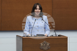 Народно събрание - парламентарен контрол