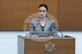 Народно събрание - парламентарен контрол