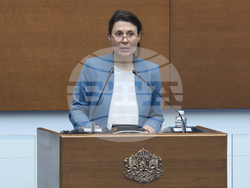 Народно събрание - парламентарен контрол