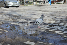 Русе - кръстовище - ремонт