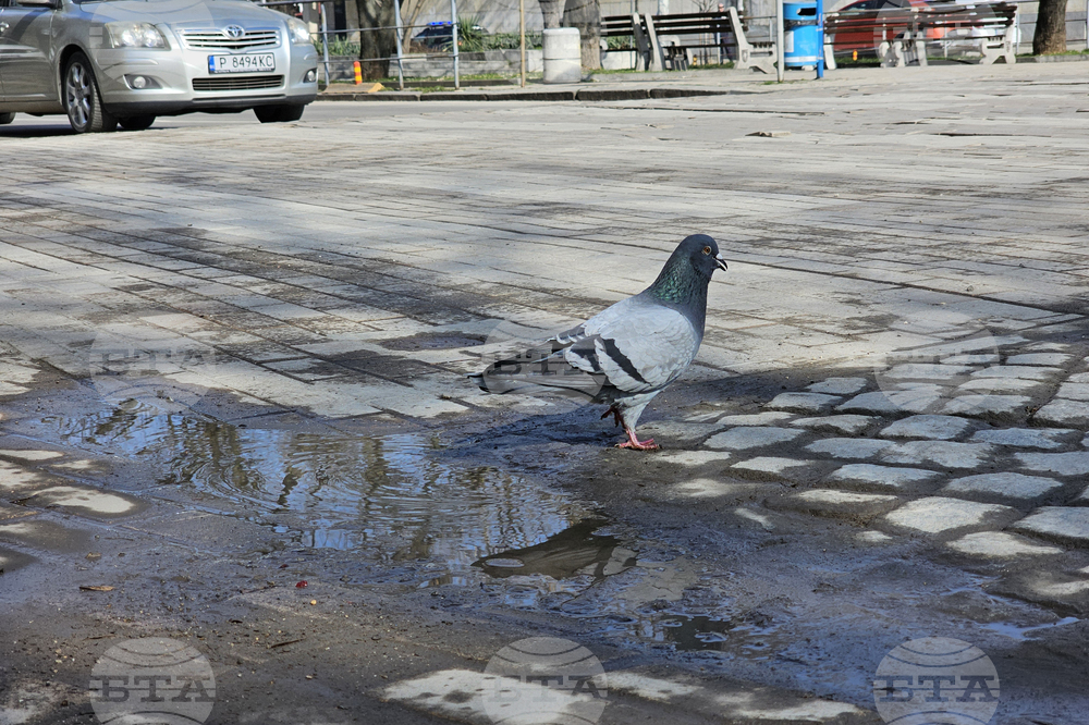 Русе - кръстовище - ремонт