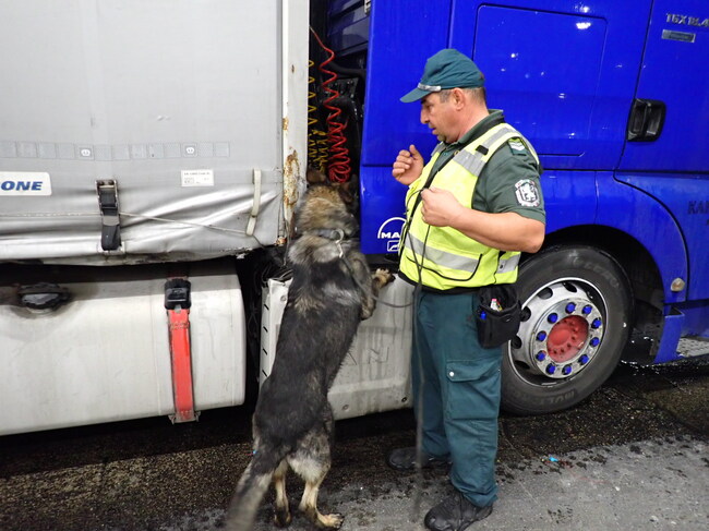 ГД „Гранична полиция“: Близо 50 кг марихуана в тайници на лек автомобил откри граничарското куче Пирин на ГКПП „Капитан Андреево“
