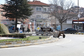 Асеновград - пътен инцидент с каруца