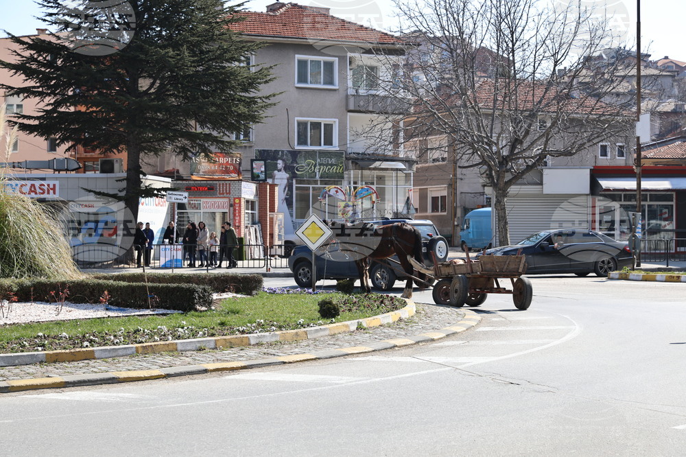 Асеновград - пътен инцидент с каруца