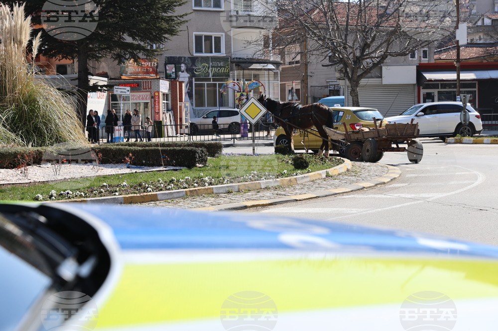 Асеновград - пътен инцидент с каруца