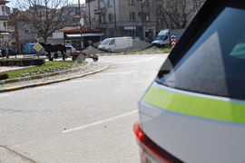 Асеновград - пътен инцидент с каруца