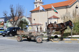 Асеновград - пътен инцидент с каруца