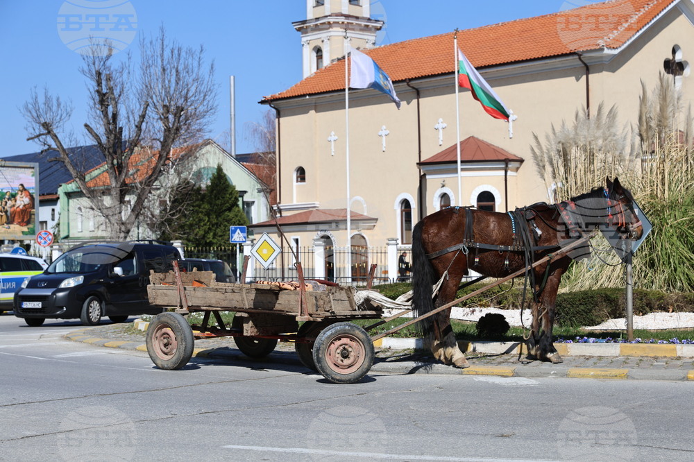 Асеновград - пътен инцидент с каруца