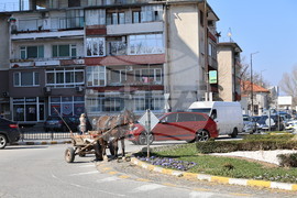 Асеновград - пътен инцидент с каруца