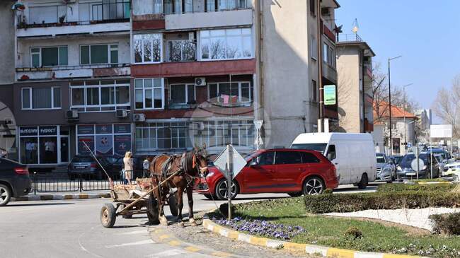 Кон с каруца блъсна жена на пешеходна пътека в Асеновград, съобщиха от полицията