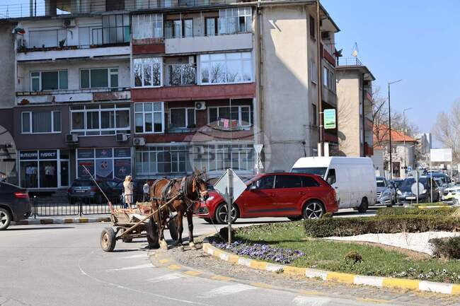 Кон с каруца блъсна жена на пешеходна пътека в Асеновград, съобщиха от полицията