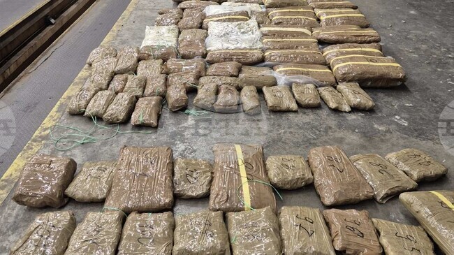 Мъж с двойно гражданство е обвинен за опит да пренесе през ГКПП „Капитан Андреево“ 107 пакета марихуана на стойност близо 375 хиляди евро