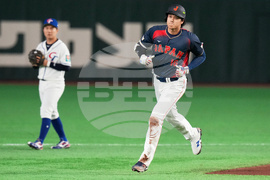 WBC Japan Taiwan Baseball
