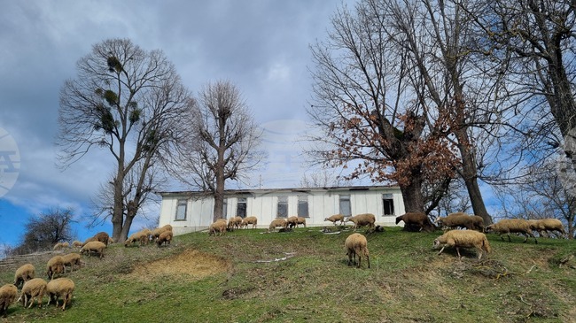 В община Антоново в 19 населени места живеят под десет души