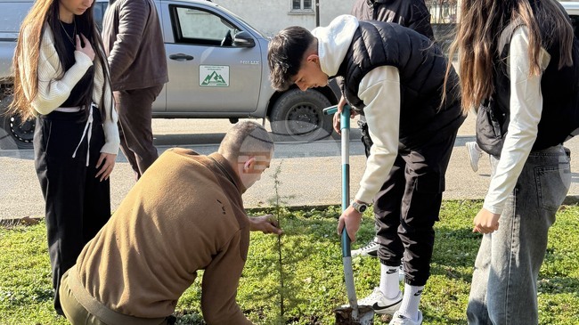 Ученици, горски и служители в администрацията засадиха 20 кедрови фиданки в парка в Летница