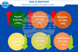 Цени на дребно на основните хранителни стоки в страната към 26 февруари