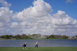 Bay Hill Golf