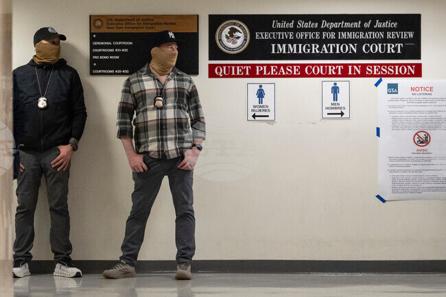 Immigration Enforcement New York