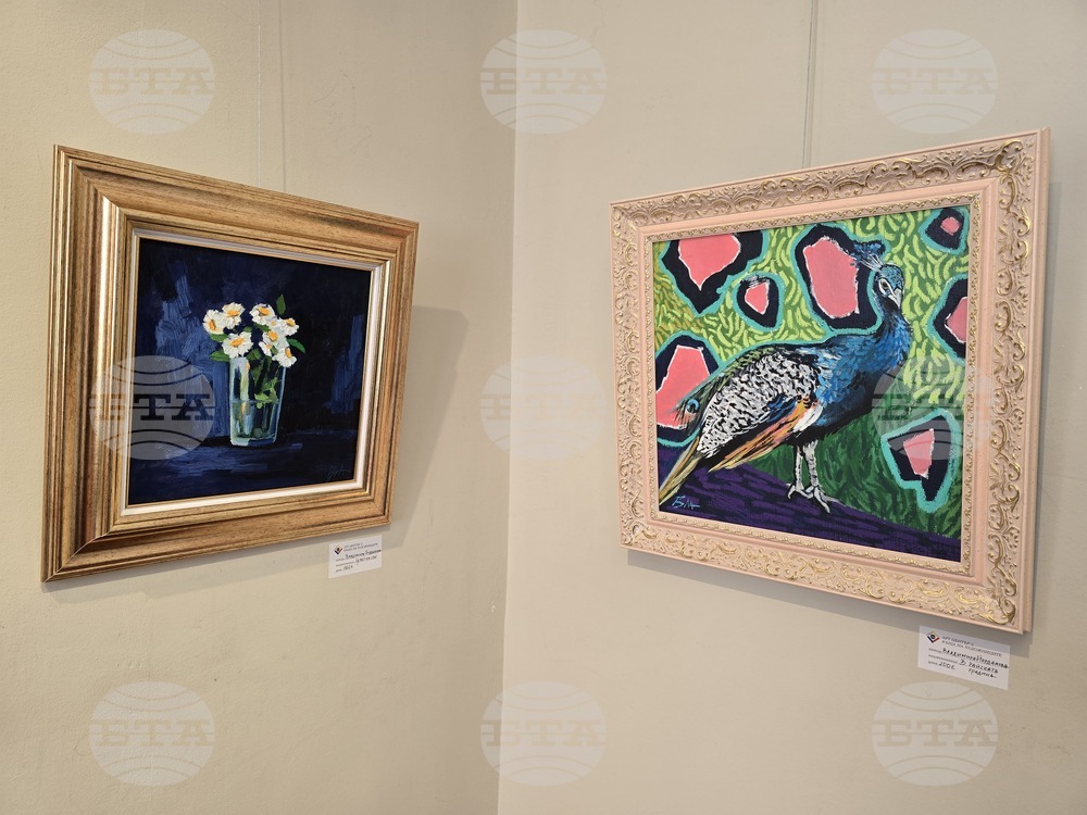 Плевен - „Изкушения“- изложба