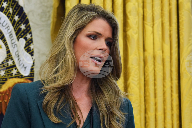 Lindsey Halligan Investigation