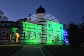 Плевен - лимфедем - ХГ Колекция „Дарение Светлин Русев“