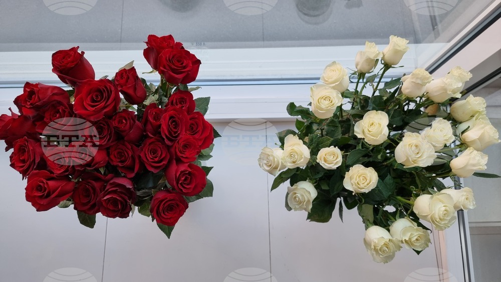 Румъния - Националнен празник на България -  прием