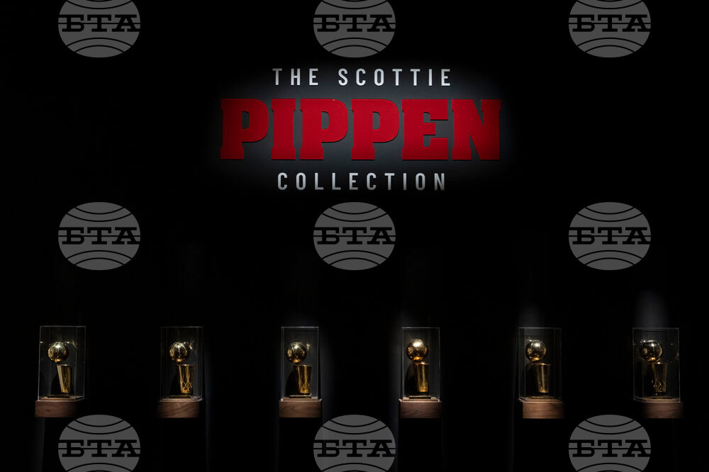 Pippen Memorabilia Auction Basketball