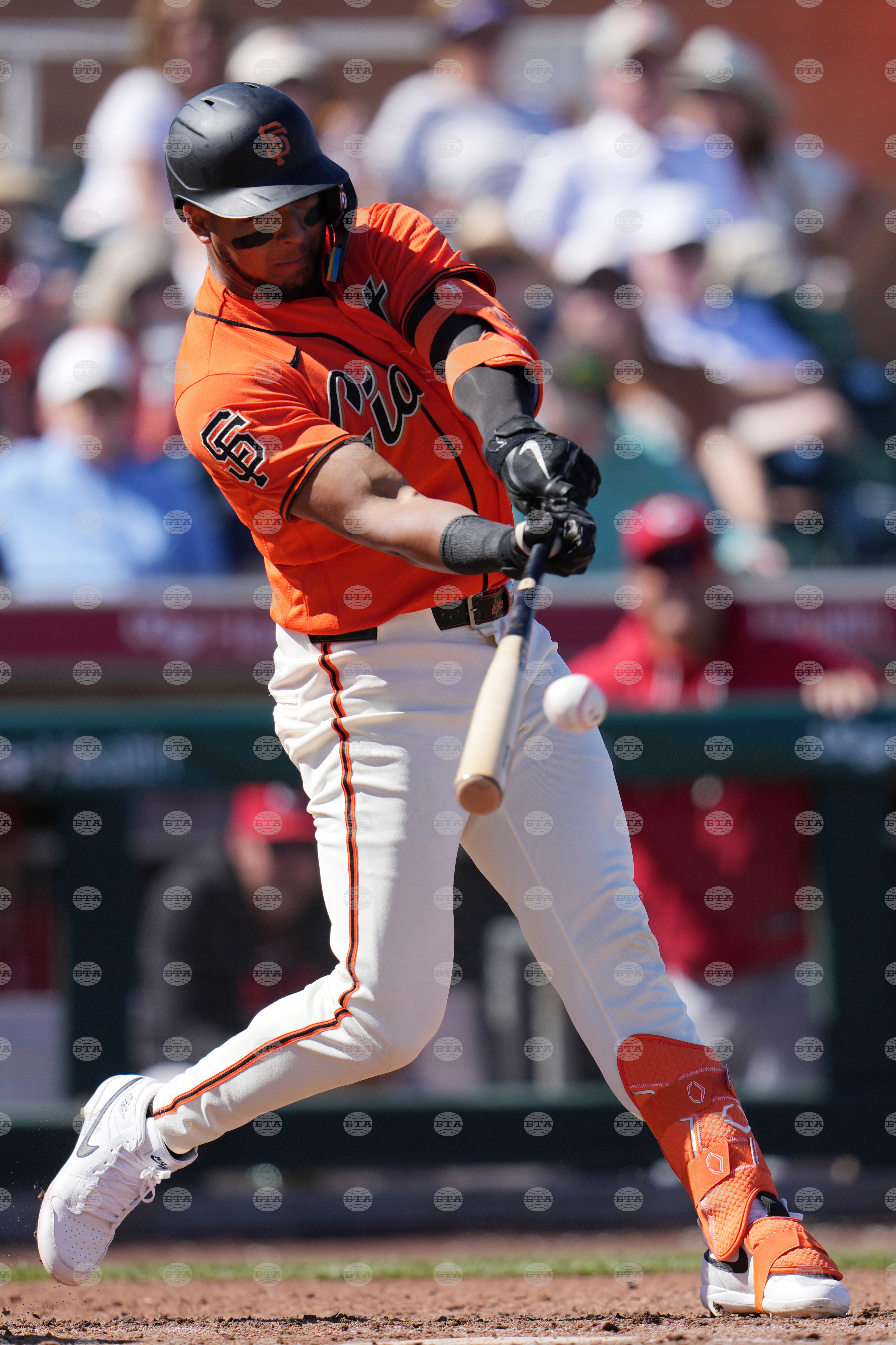 Reds Giants Spring Baseball
