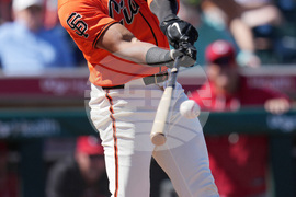 Reds Giants Spring Baseball