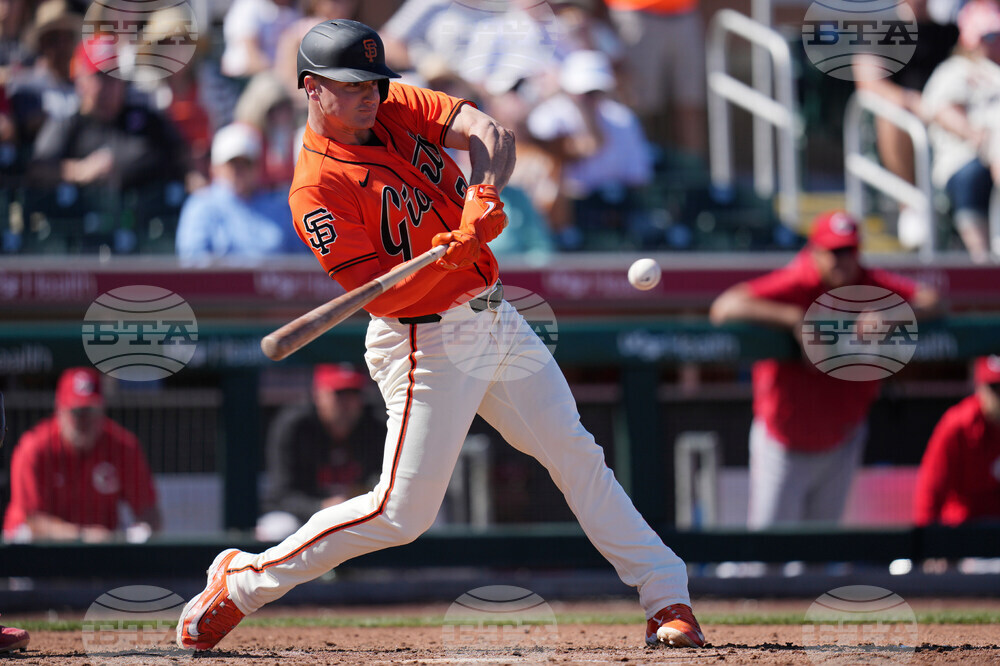 Reds Giants Spring Baseball