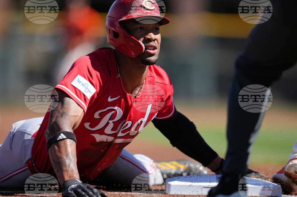 Reds Giants Spring Baseball