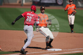 Reds Giants Spring Baseball