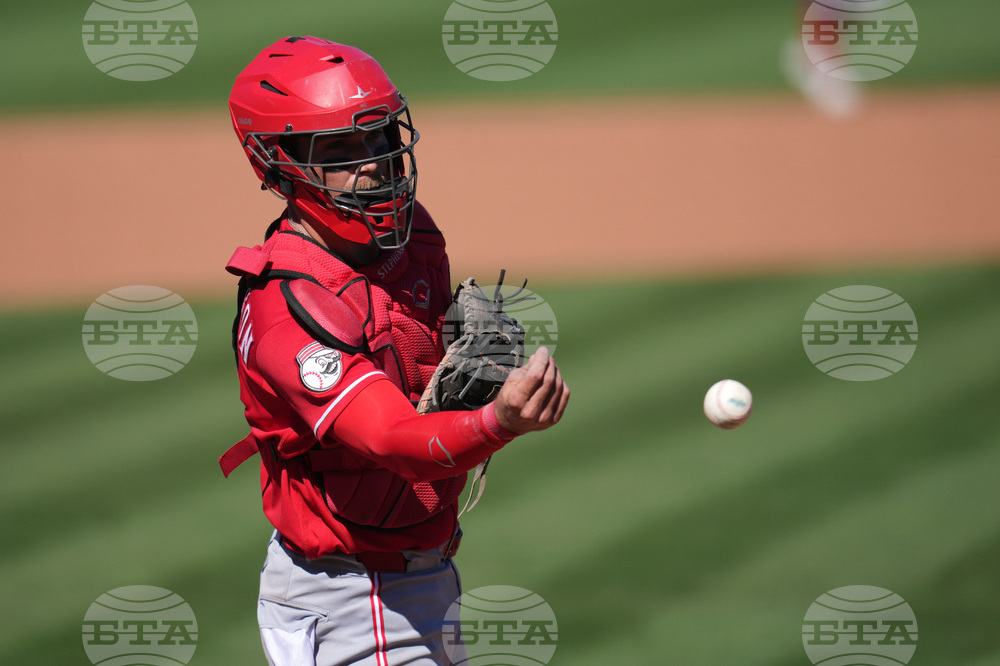 Reds Giants Spring Baseball