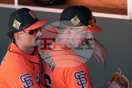 Reds Giants Spring Baseball