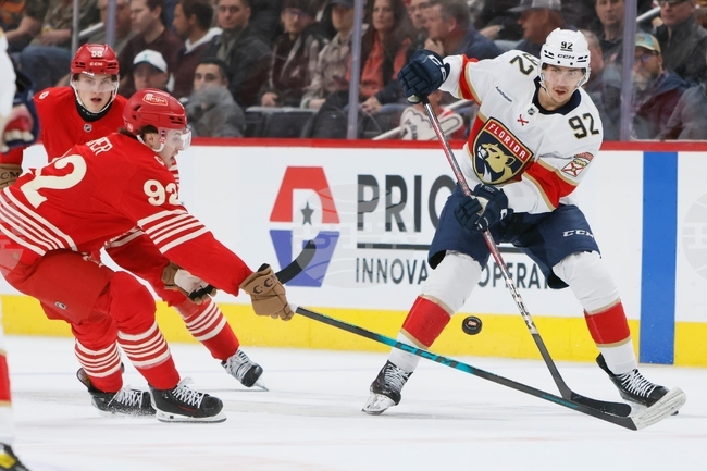 Panthers Red Wings Hockey